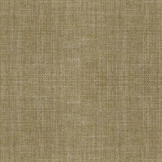 Vigor | Wheat