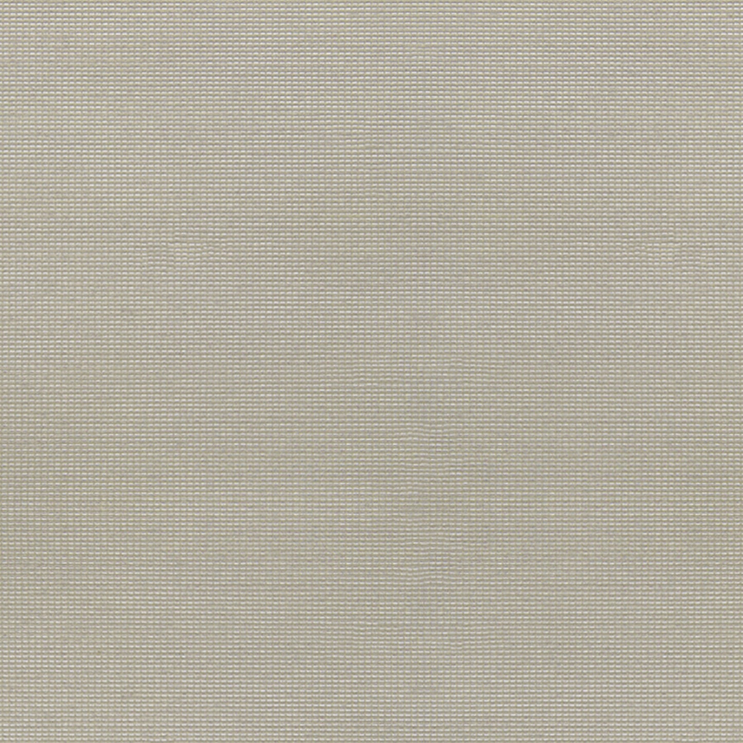 Sunscreen | Light Beige