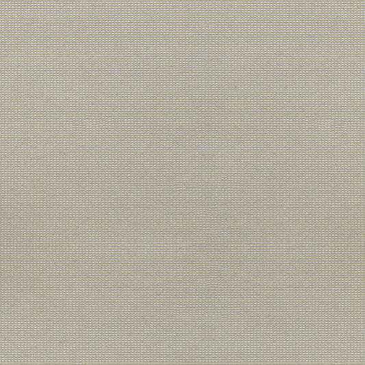 Sunscreen | Light Beige