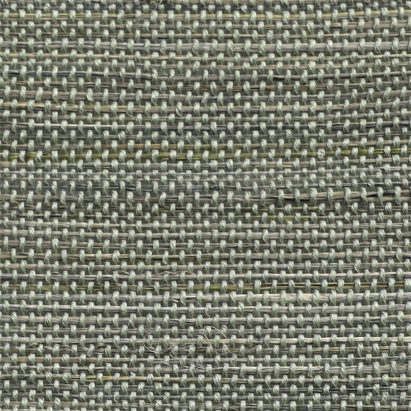 Orithyia | Kenaf 220