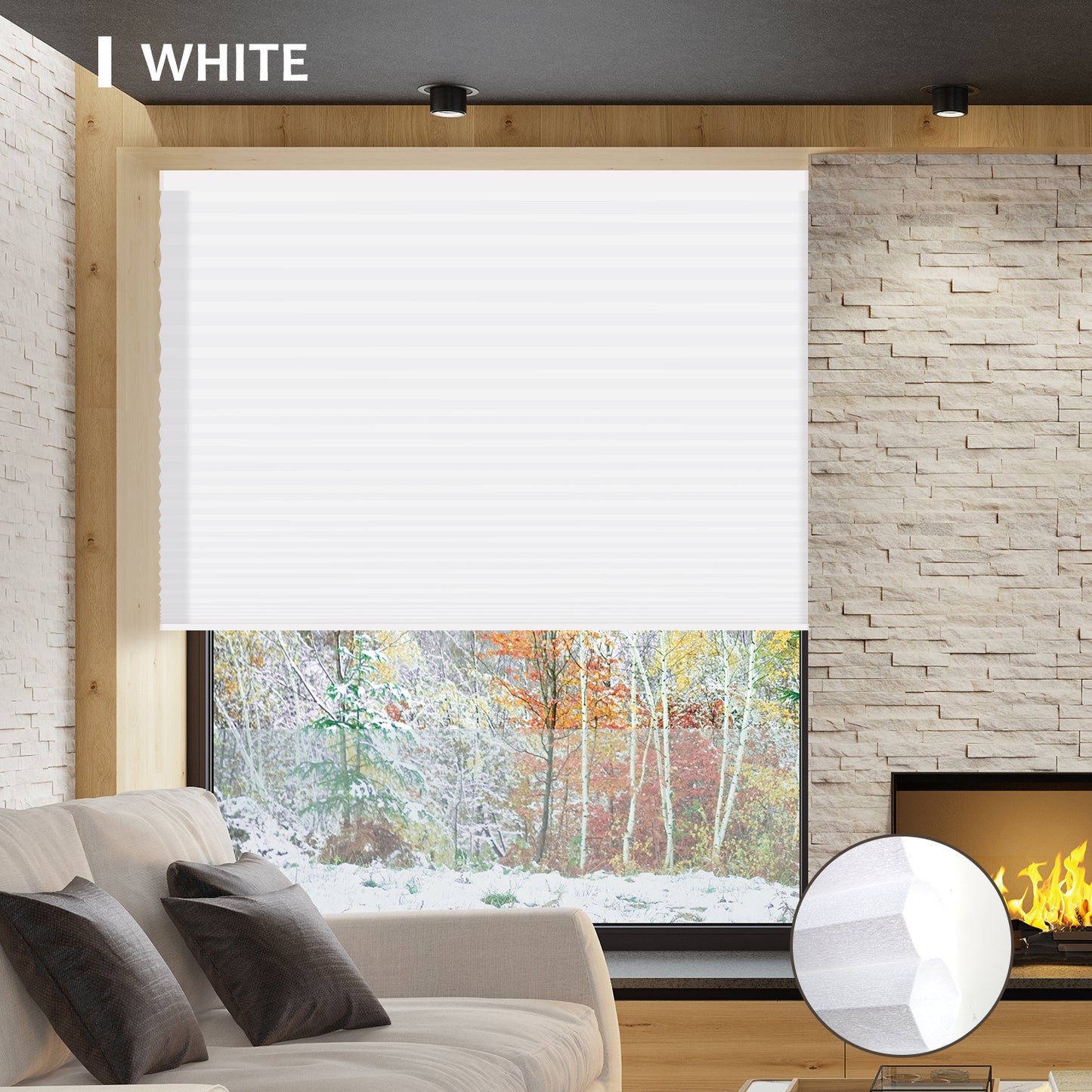 Light Filtering | Single Cell | Nowa