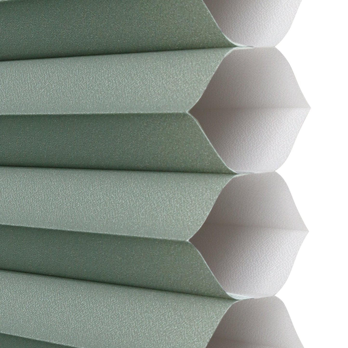 Trapezoid | ASBURY PARK | Muted Green