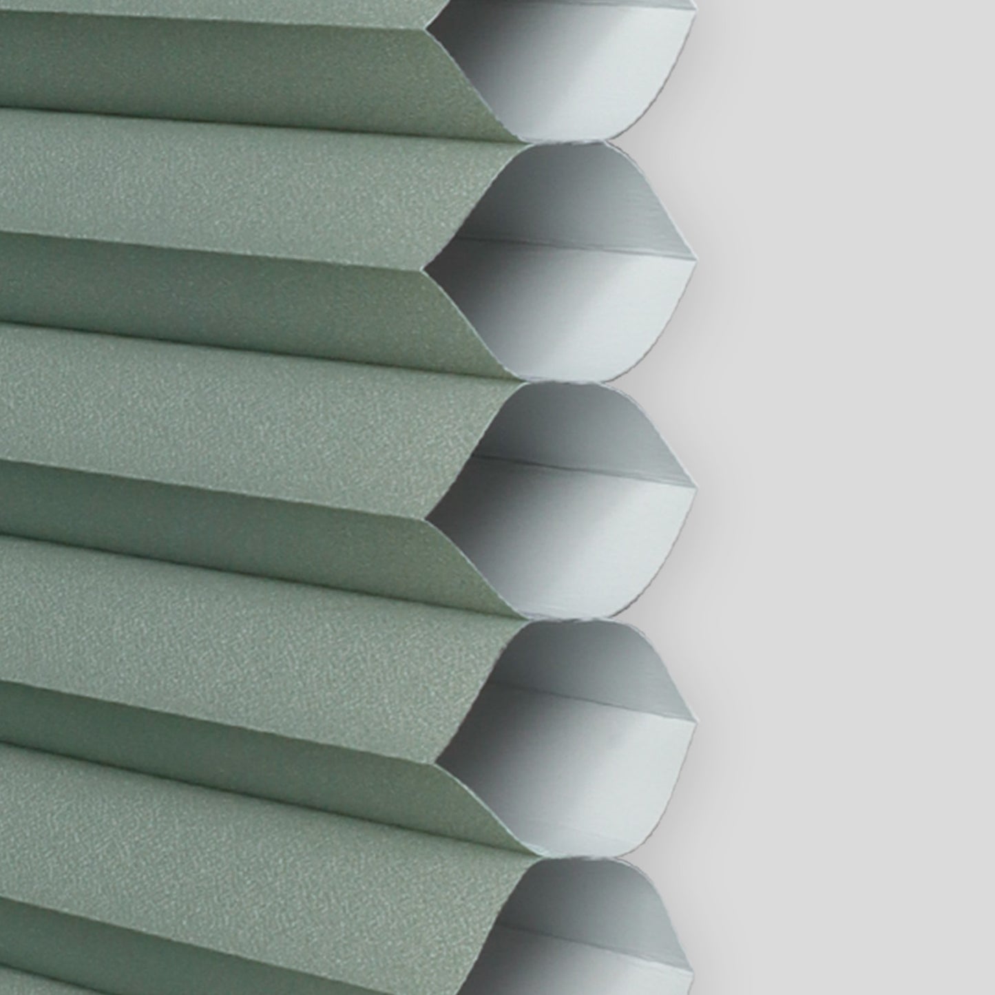 Asbury Park | Muted Green
