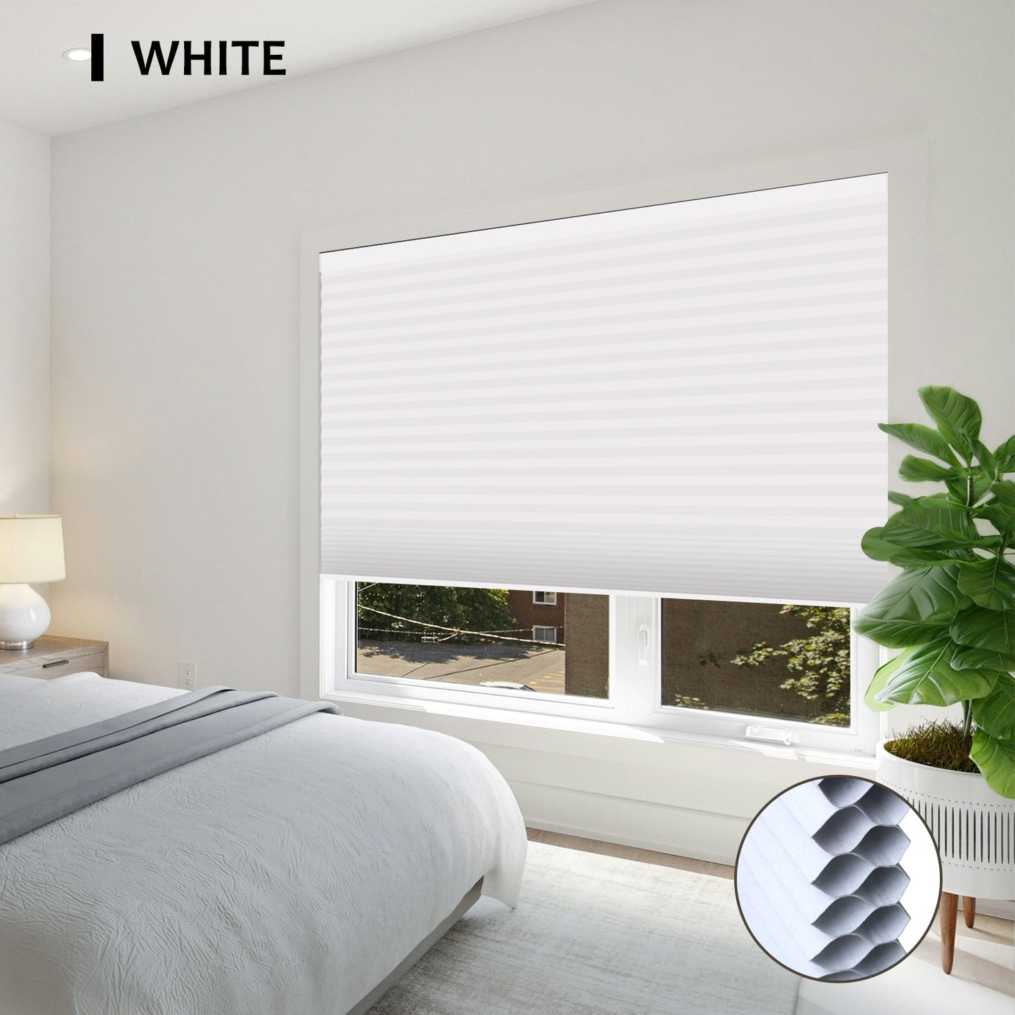 NEWPORT | PEARL WHITE