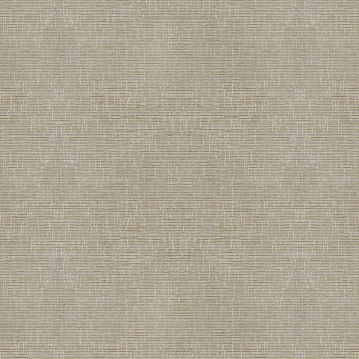 Safari | Biscuit