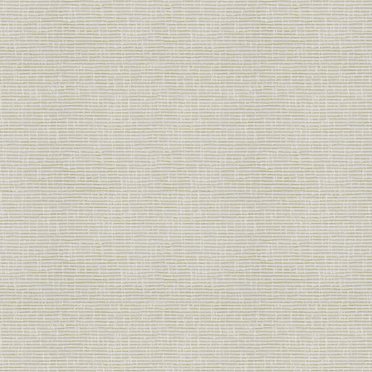 Safari | Cream