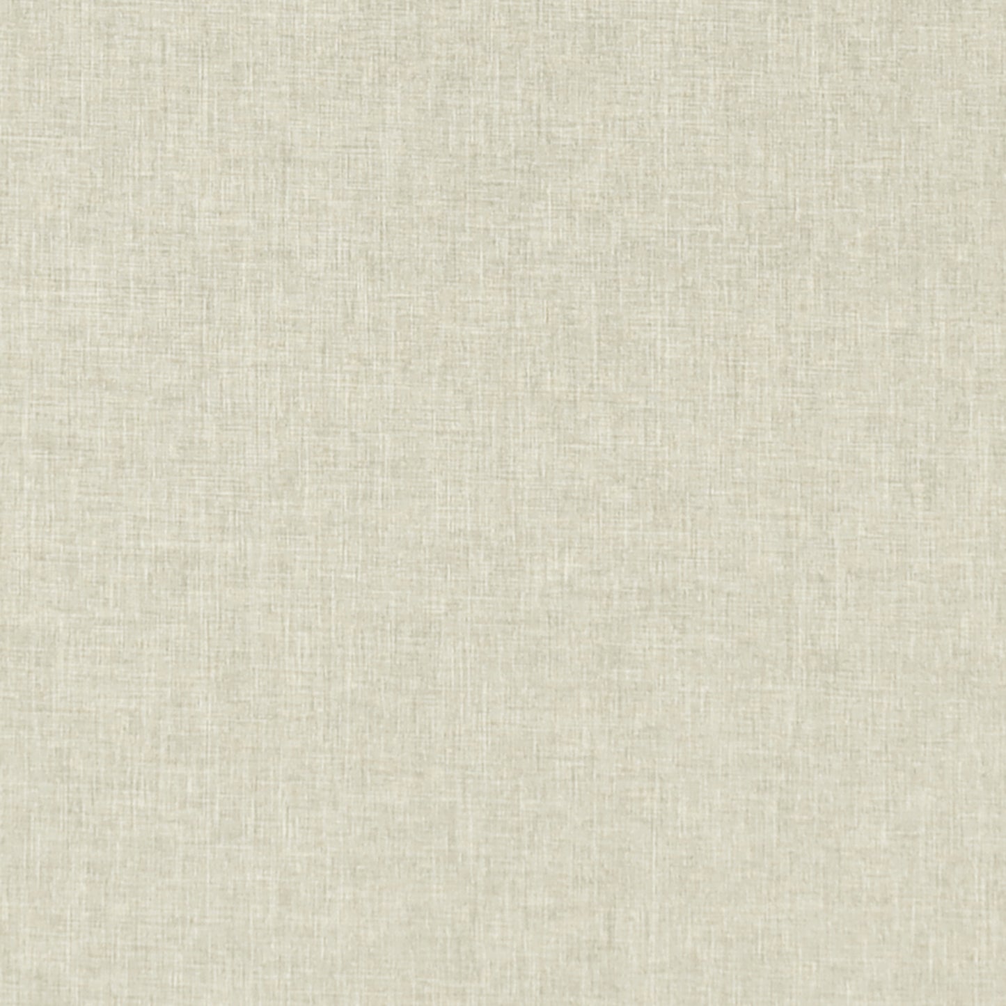 Bouvardia | Cream