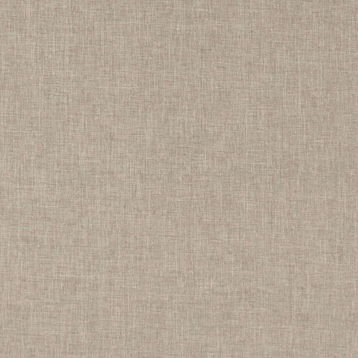 Bouvardia | Light Brown