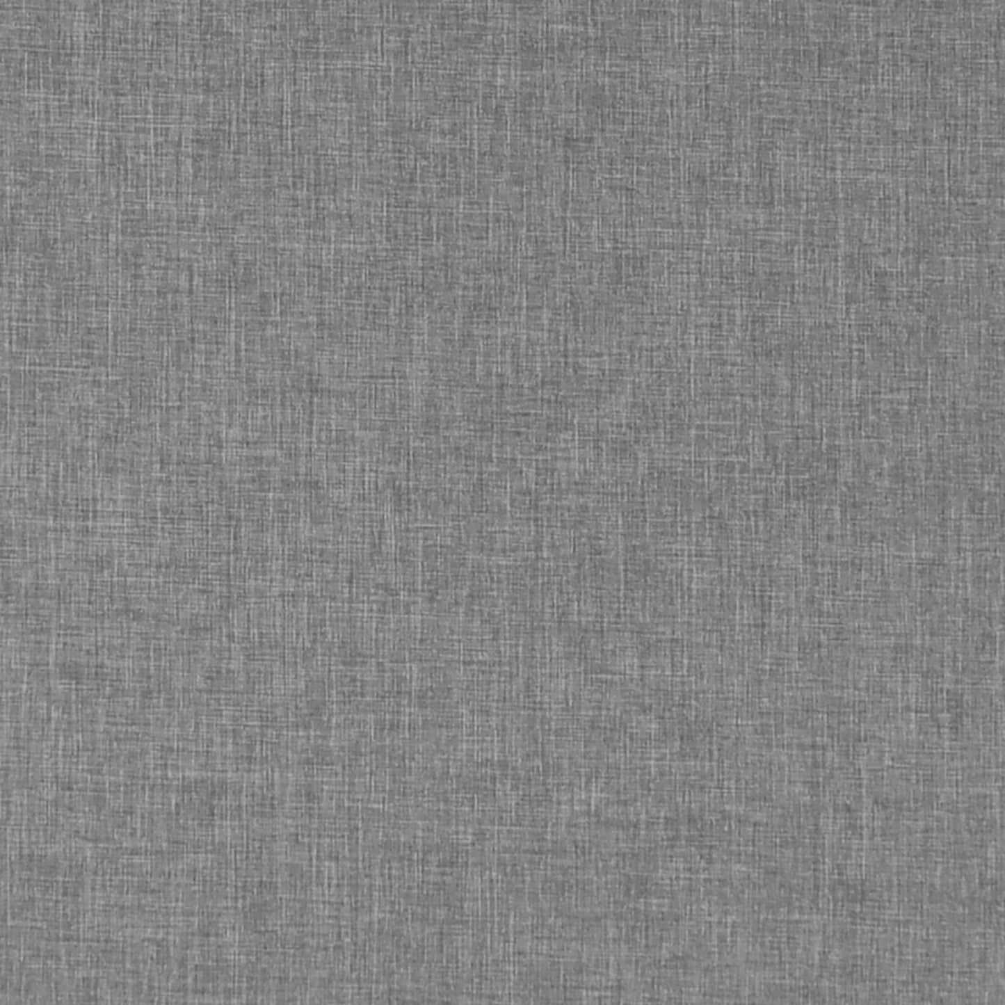 Bouvardia | Medium Grey