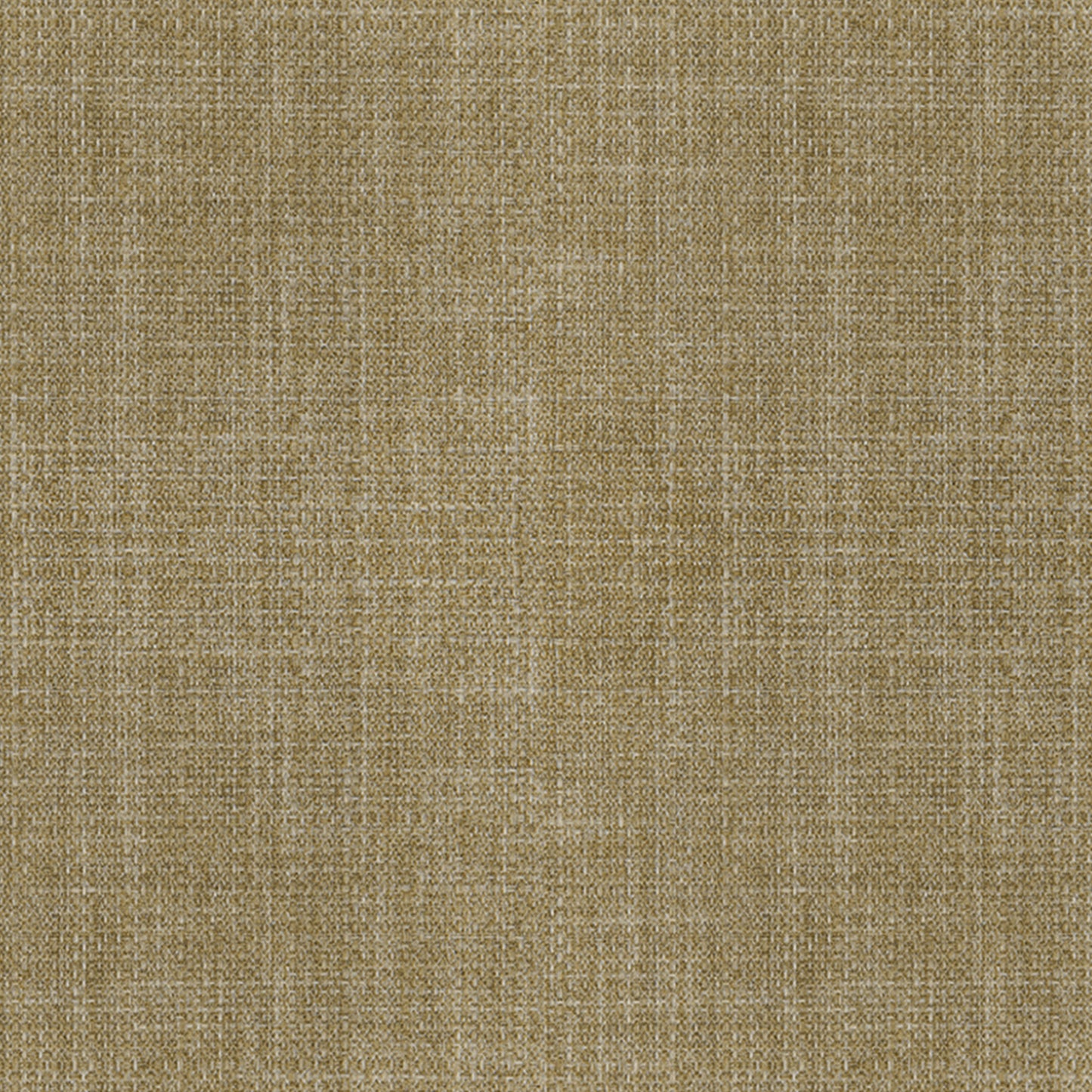 Vigor | Wheat